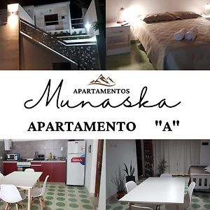 Apartamento de 1 Dormitorio